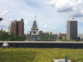 中央图书馆的特色是绿色屋顶，可以在周三中午和周六上午10点参观。