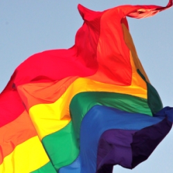 新的调查显示，威斯康辛人反对歧视同性恋者