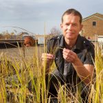 马奎特大学生物科学教授获得美国农业部资助，以提高水稻的耐寒性，提前种植季节