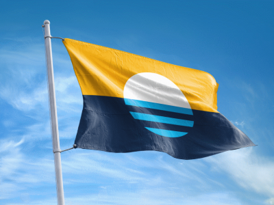 City Hall: Council Delays Flag Decision