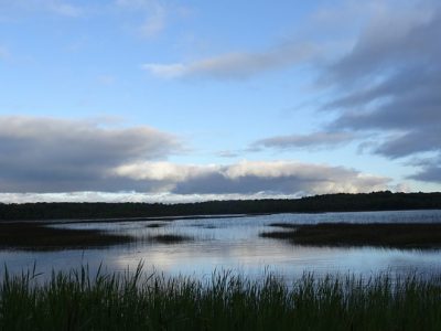 竞选资金:议会批准撤回湿地保护