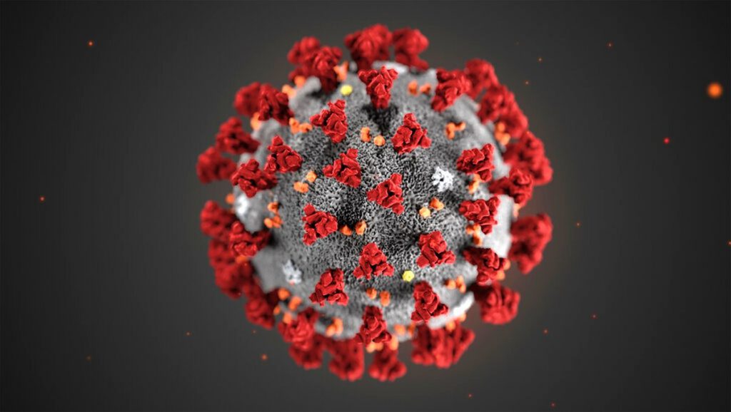 2019新型冠状病毒图片来自美国疾病控制与预防中心。