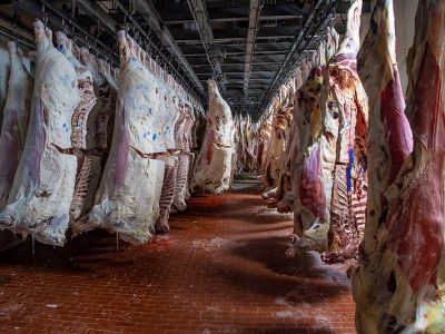 鲍德温呼吁保护肉类行业