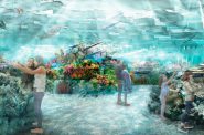 密尔沃基公共博物馆礁石渲染。渲染Luci创意