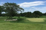 绿地公园高尔夫球场。戴夫·里德(Dave Reid)提供的资料照片。