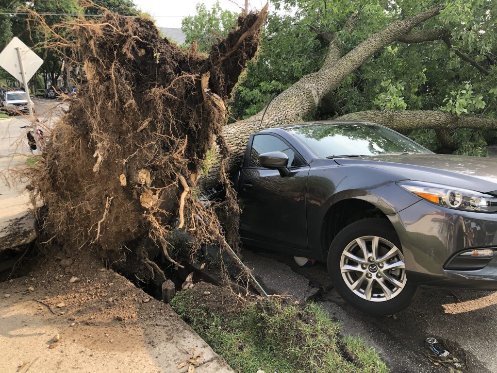 2021年8月10日，在一场暴风雨中，一棵树倒在了S. 14街的一辆汽车上。摄影:Jeramey Jannene