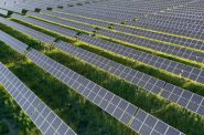 300兆瓦的獾谷太阳能发电厂的第一个150兆瓦于2021年12月1日上线。威斯康星州公共服务公司和麦迪逊燃气电力公司拥有该项目，该项目由Invenergy公司开发。第一期预计为45000户家庭供电。图片由威斯康星公共服务/WPR提供。