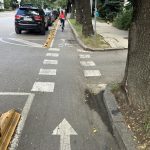 城市阅读:受保护的自行车道网络的巨大绿色效益