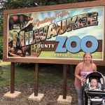 娱乐活动:动物园家庭免费日
